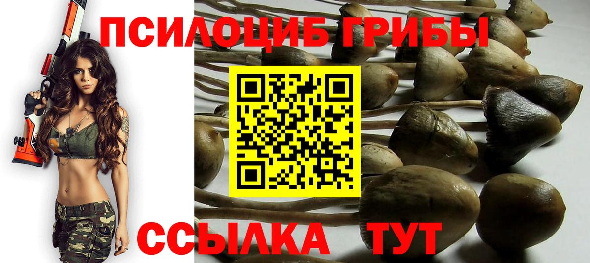 Галлюциногенные грибы MAGIC MUSHROOMS  Вход с VPN  Псилоцибиновые грибы MAGIC MUSHROOMS  Жигулёвск 